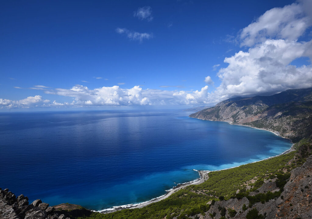 blog 9